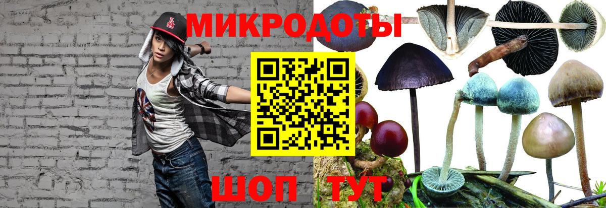 Новокубанск  Галлюциногенные грибы GOLDEN TEACHER  где найти   Галлюциногенные грибы Cubensis  Вход с VPN 